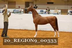 20_REGION9_00333 proof