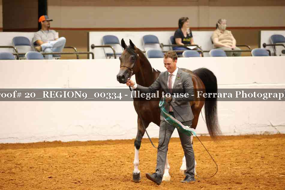 Proof 20_REGION9_00334