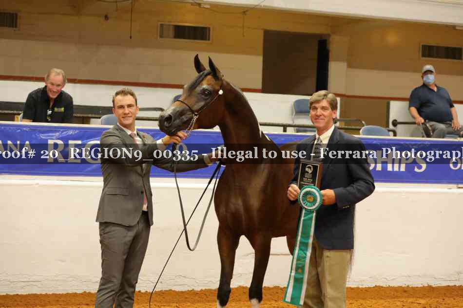 Proof 20_REGION9_00335