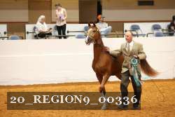 20_REGION9_00336 proof