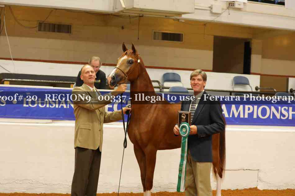 Proof 20_REGION9_00337
