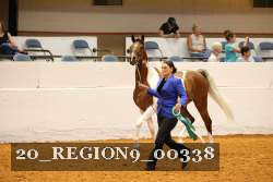 20_REGION9_00338 proof