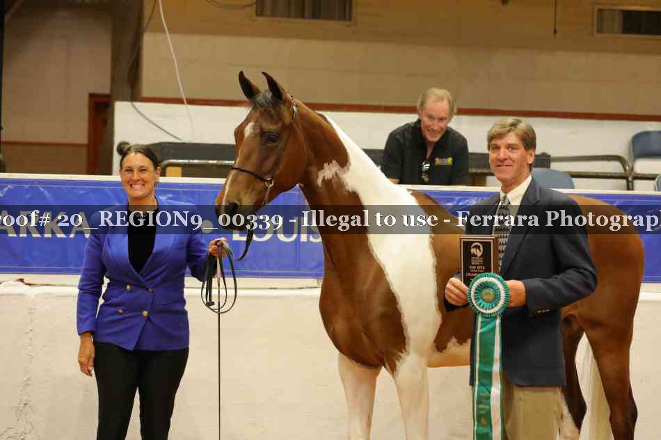 Proof 20_REGION9_00339