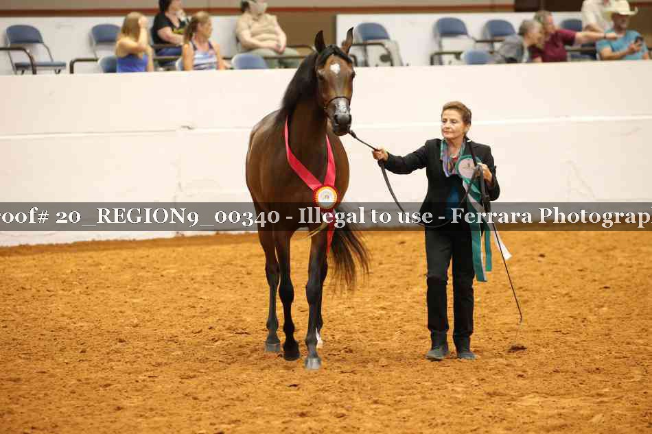 Proof 20_REGION9_00340