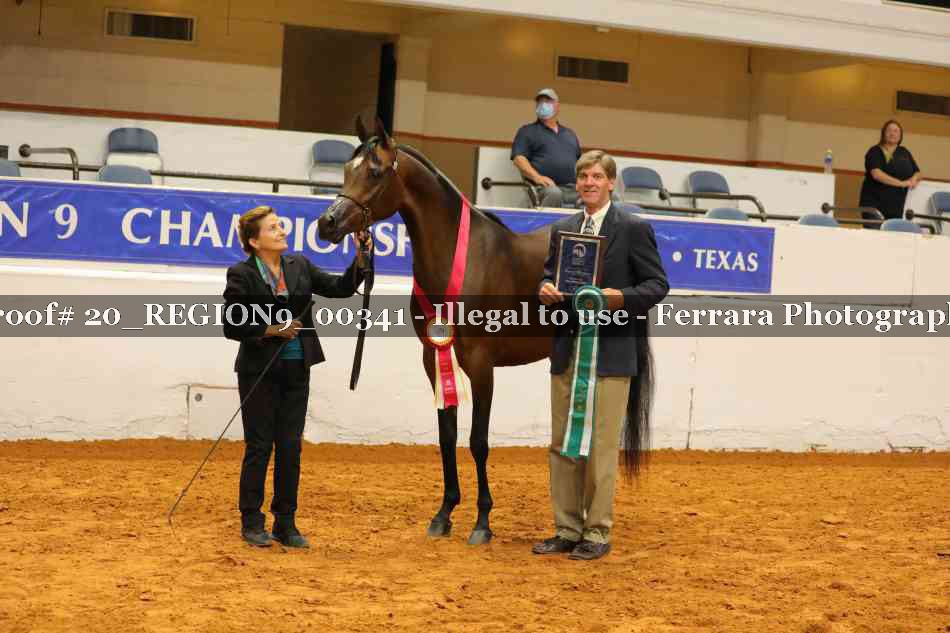 Proof 20_REGION9_00341