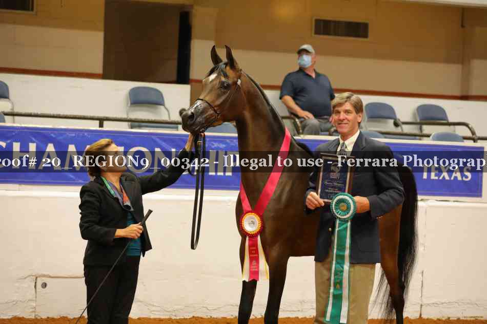 Proof 20_REGION9_00342