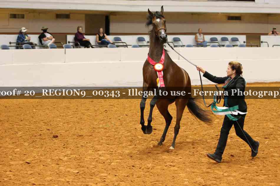 Proof 20_REGION9_00343