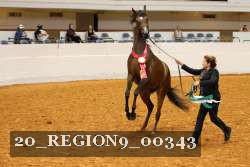 20_REGION9_00343 proof