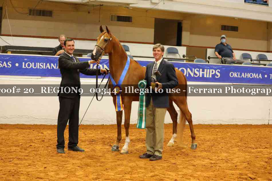 Proof 20_REGION9_00344