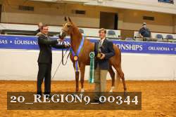 20_REGION9_00344 proof