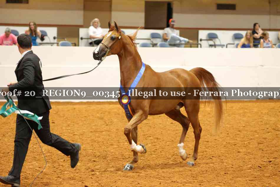 Proof 20_REGION9_00345