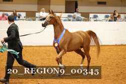 20_REGION9_00345 proof