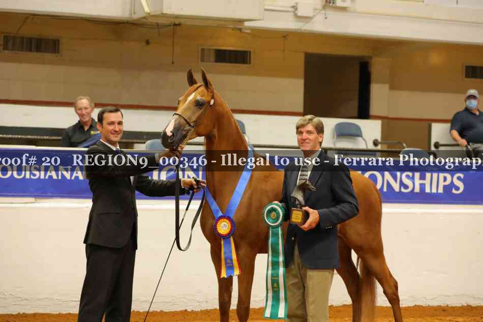 Proof 20_REGION9_00346
