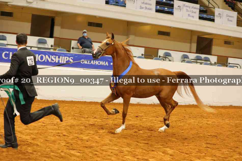 Proof 20_REGION9_00347