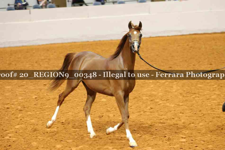 Proof 20_REGION9_00348