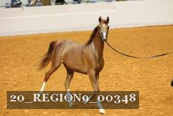 20_REGION9_00348 proof