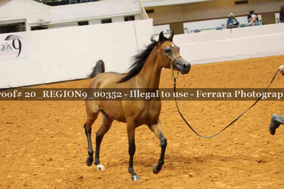 Proof 20_REGION9_00352