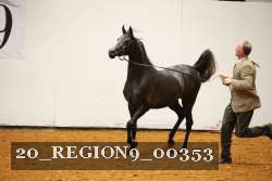 20_REGION9_00353 proof