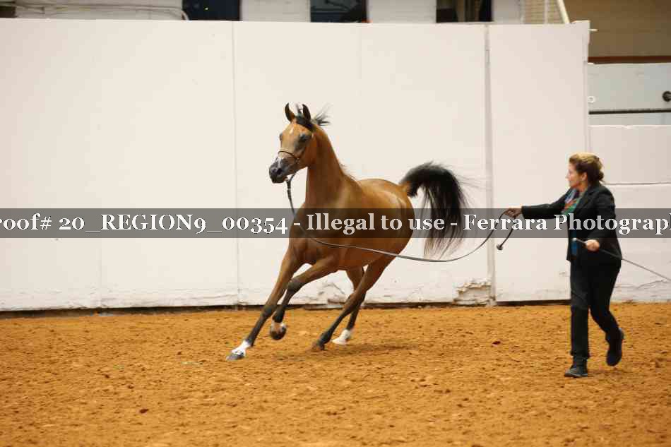 Proof 20_REGION9_00354