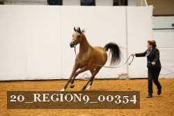 20_REGION9_00354 proof