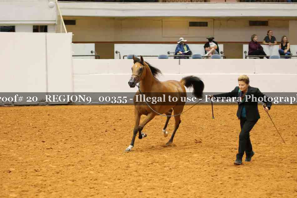 Proof 20_REGION9_00355