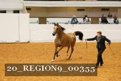 20_REGION9_00355 proof