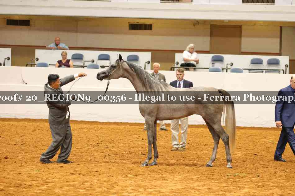 Proof 20_REGION9_00356