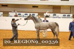 20_REGION9_00356 proof