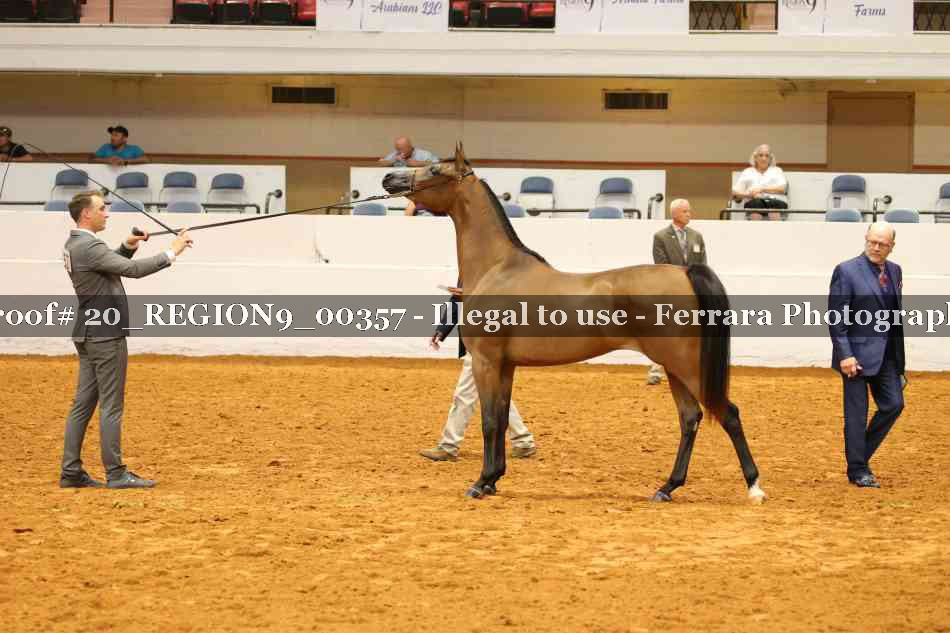Proof 20_REGION9_00357