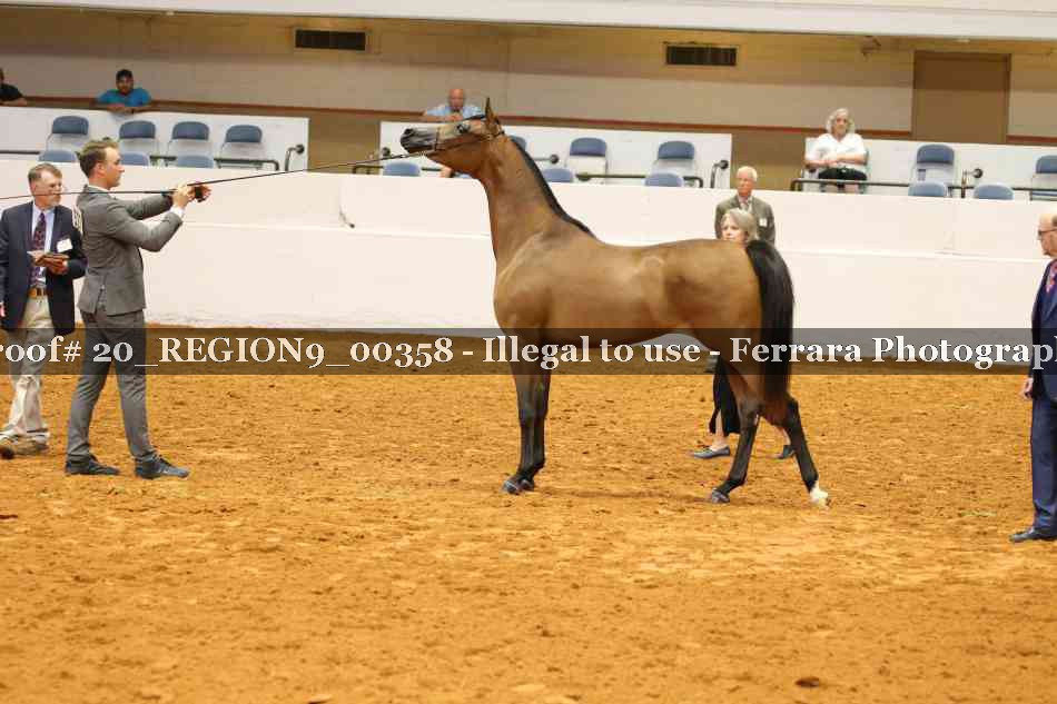 Proof 20_REGION9_00358