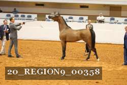 20_REGION9_00358 proof
