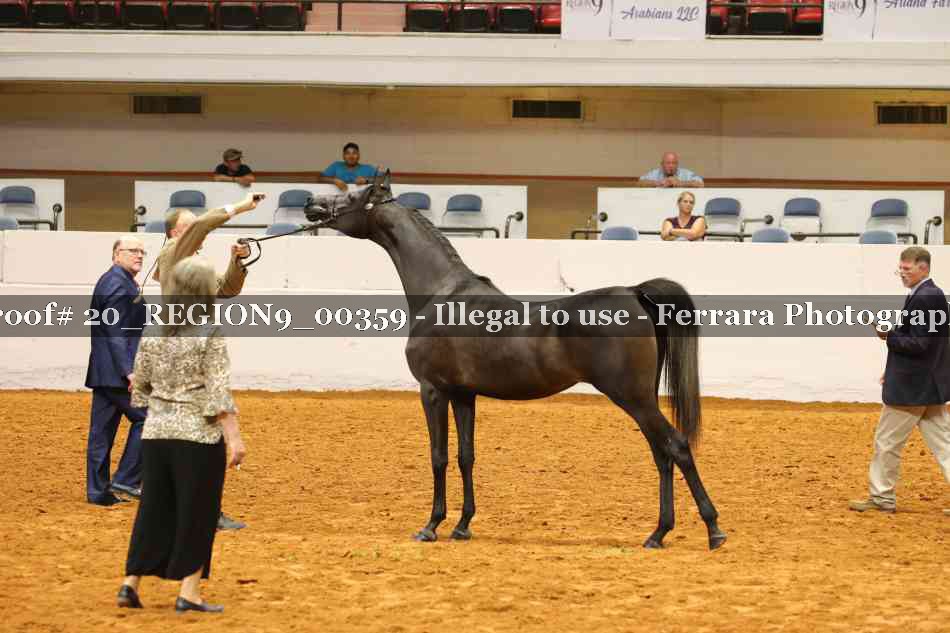 Proof 20_REGION9_00359