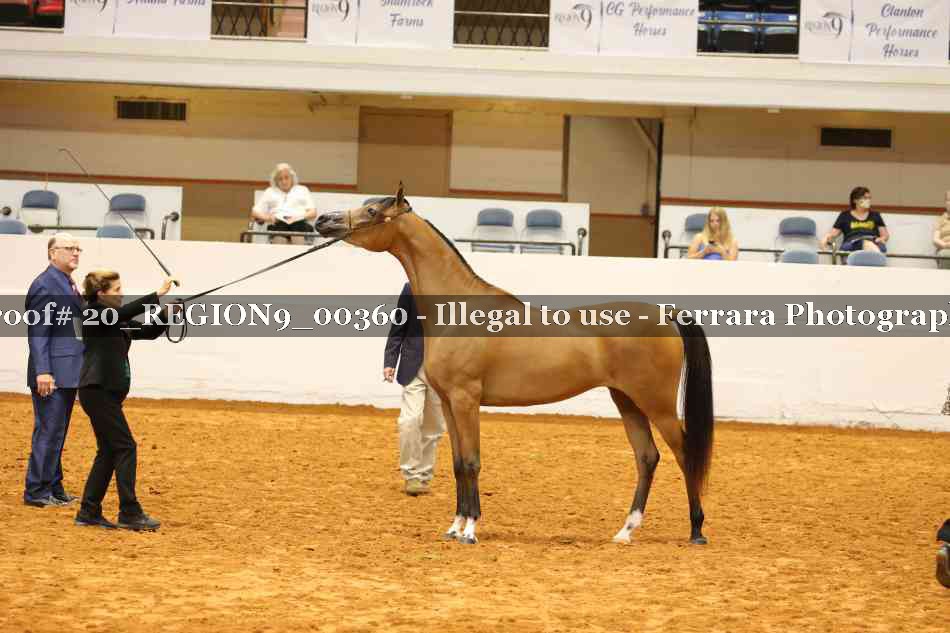 Proof 20_REGION9_00360
