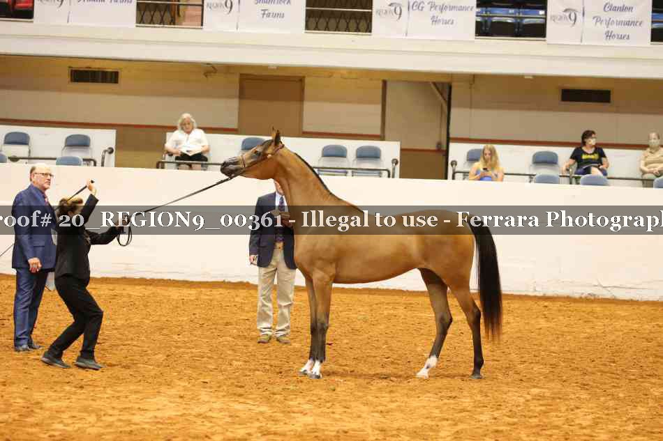 Proof 20_REGION9_00361