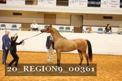 20_REGION9_00361 proof