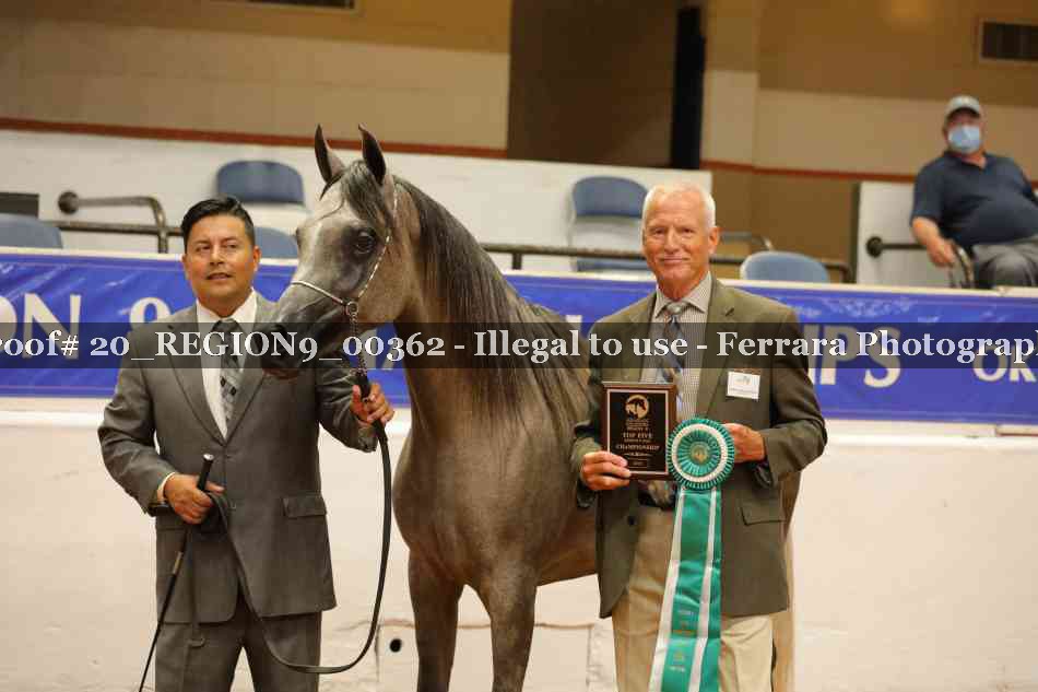 Proof 20_REGION9_00362