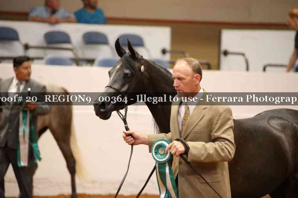 Proof 20_REGION9_00364