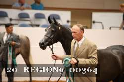 20_REGION9_00364 proof