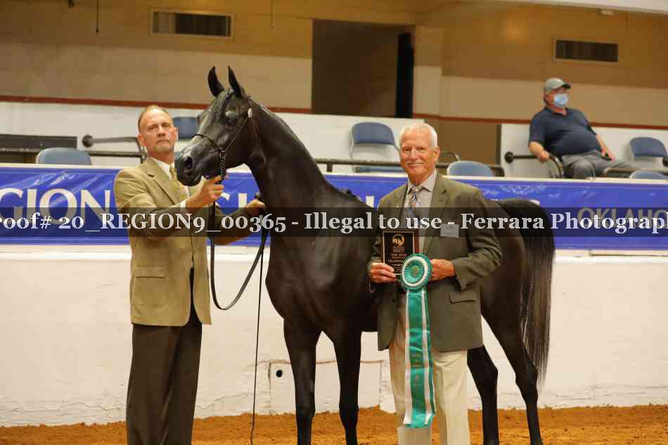 Proof 20_REGION9_00365