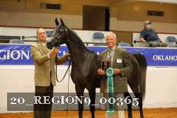 20_REGION9_00365 proof