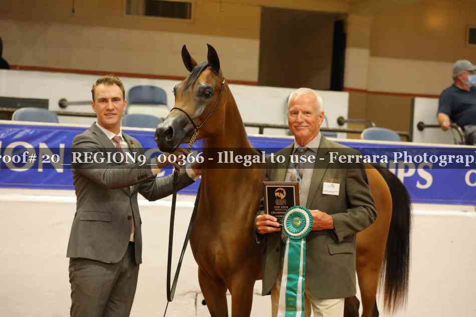 Proof 20_REGION9_00366