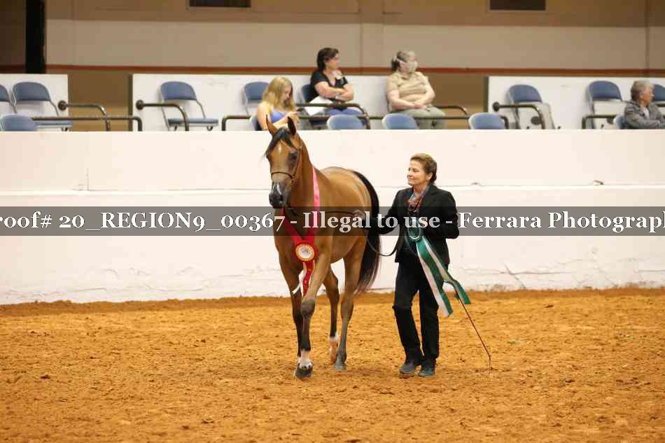 Proof 20_REGION9_00367