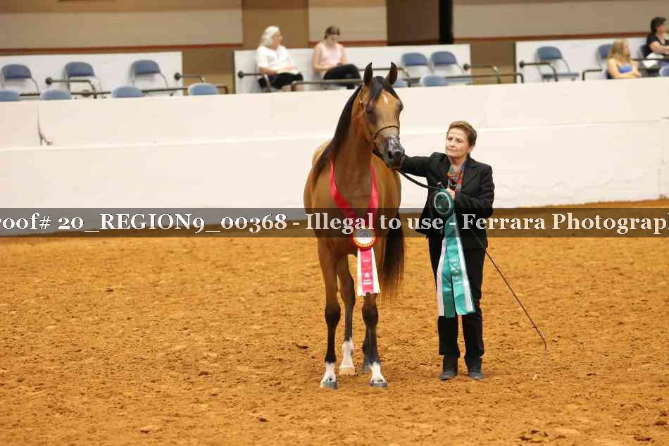 Proof 20_REGION9_00368