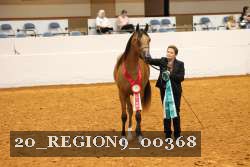 20_REGION9_00368 proof