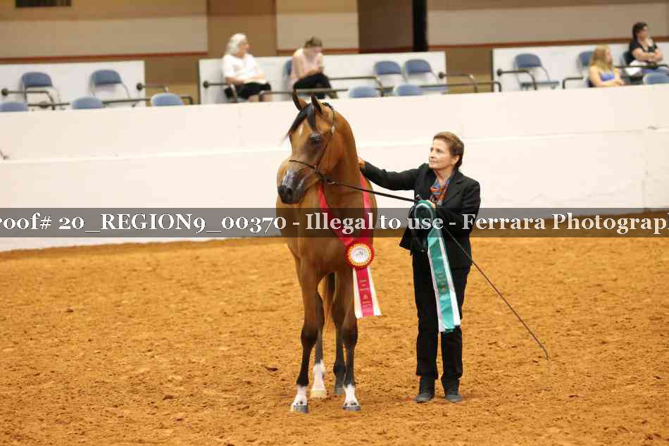 Proof 20_REGION9_00370