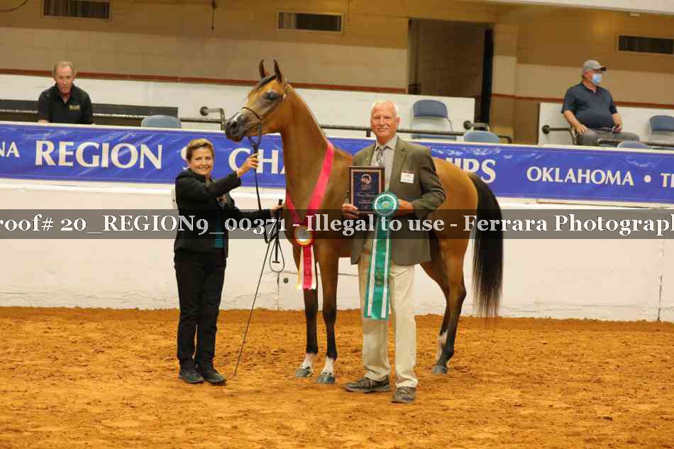 Proof 20_REGION9_00371