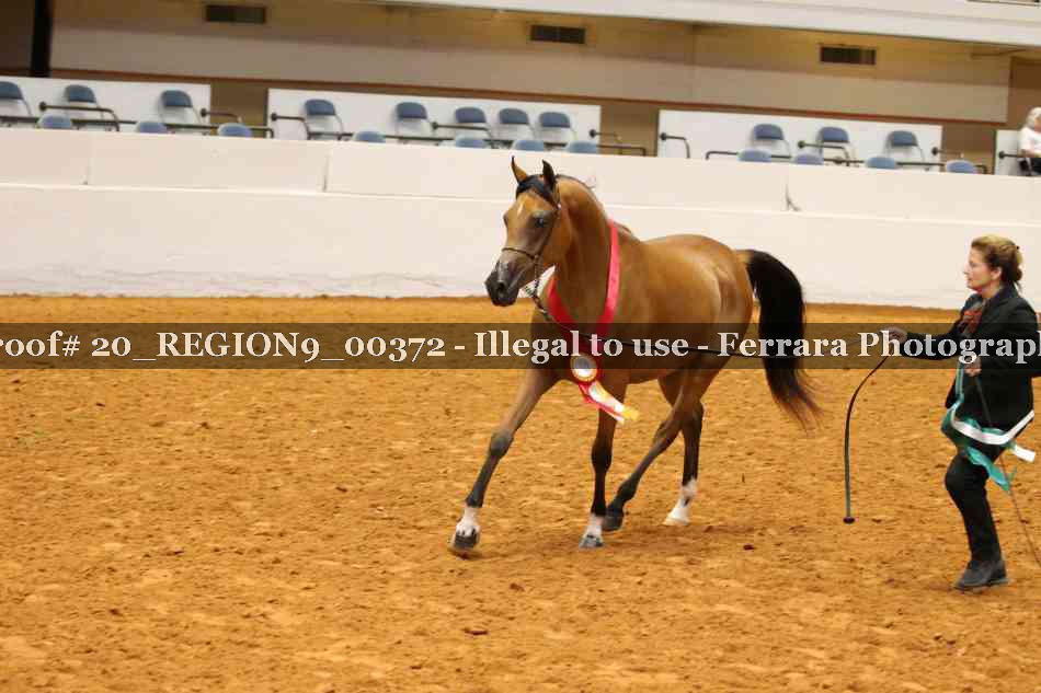 Proof 20_REGION9_00372
