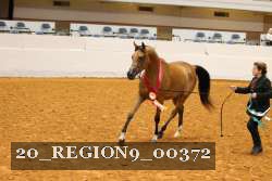 20_REGION9_00372 proof
