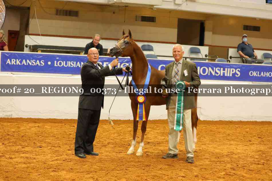 Proof 20_REGION9_00373