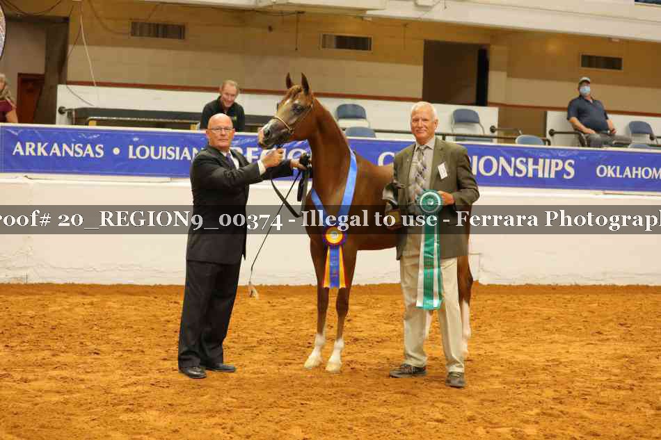 Proof 20_REGION9_00374
